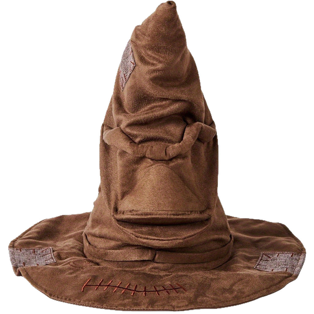 Harry Potter Selector Hat Costume
